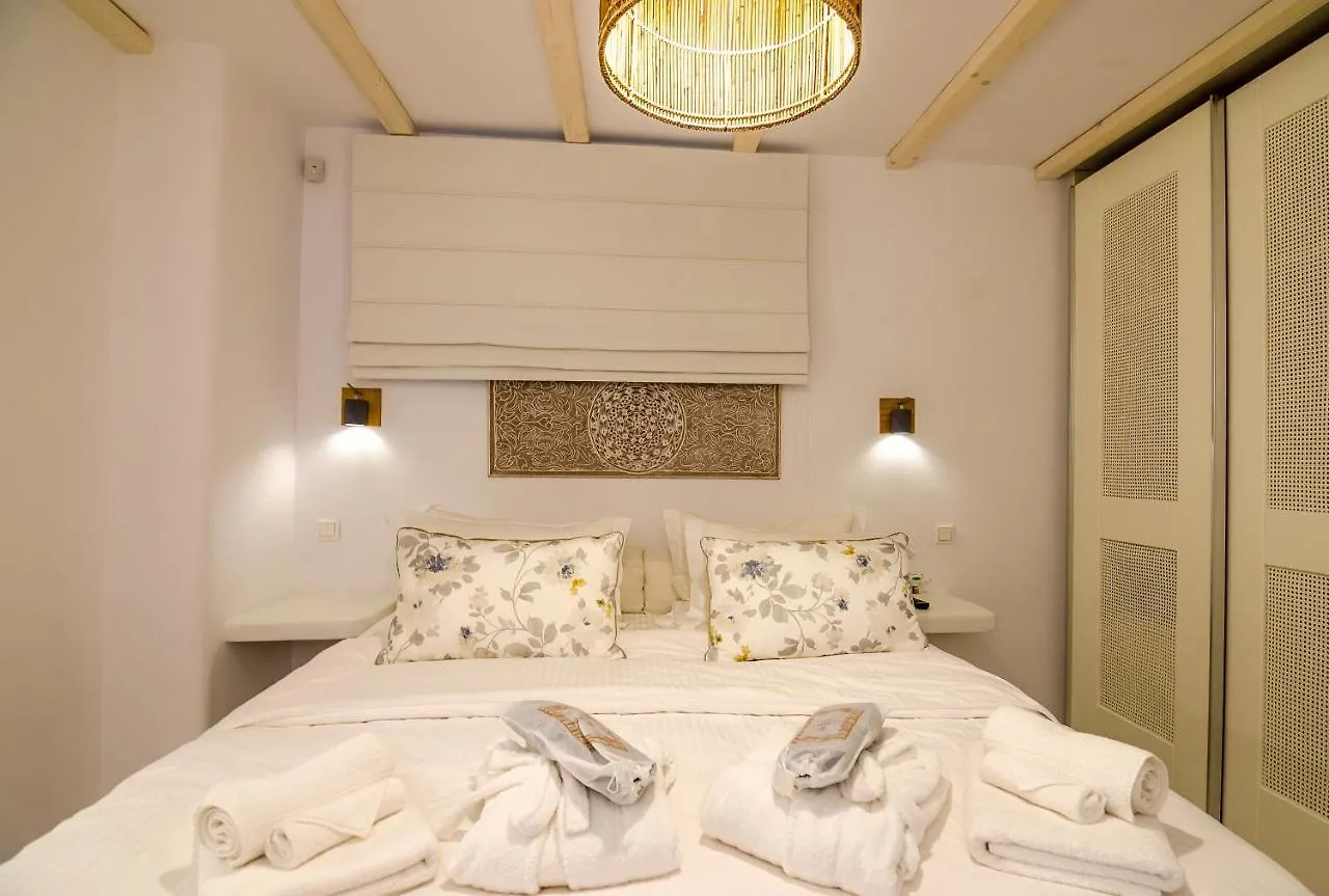 Eden View Suites & Villas Platis Yialos Appart hôtel